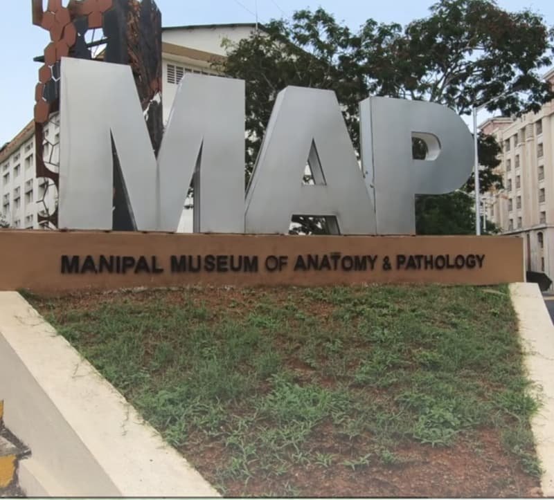 Manipal Museum of Anatomy and Pathology