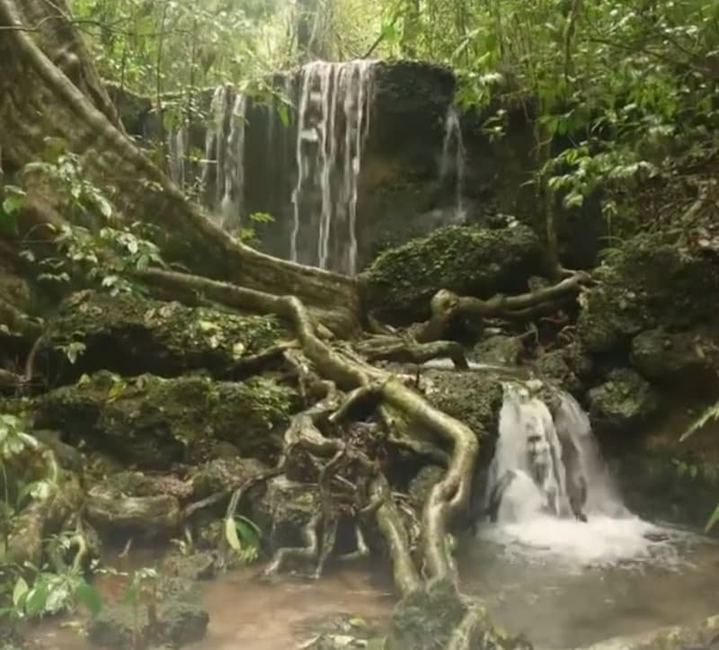 Someshwara Wildlife Sanctuary Near Udupi